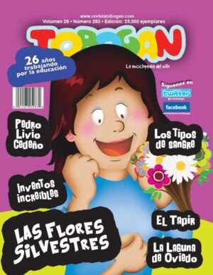 Revista Tobogán #283