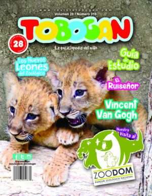 Revista Tobogán #310