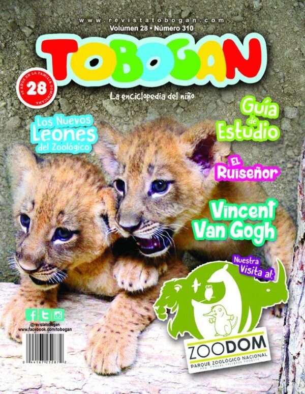 Revista Tobogán #310