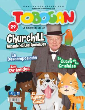 Revista Tobogán #328