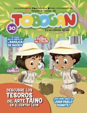 Revista Tobogán #340