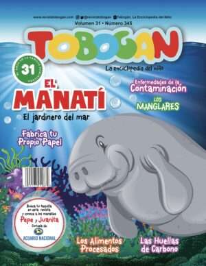 Revista Tobogán #345