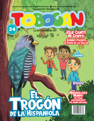 Revista Tobogán #378