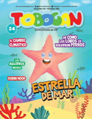Revista Tobogán #384