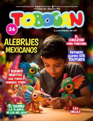 Revista Tobogán #408