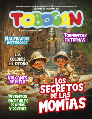 Revista Tobogán #433