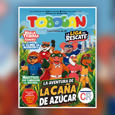 Edición 441
