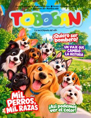 Revista Tobogán #445